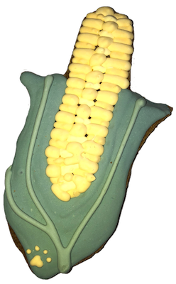 CORN1