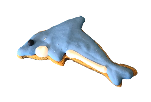 DOLPHIN1