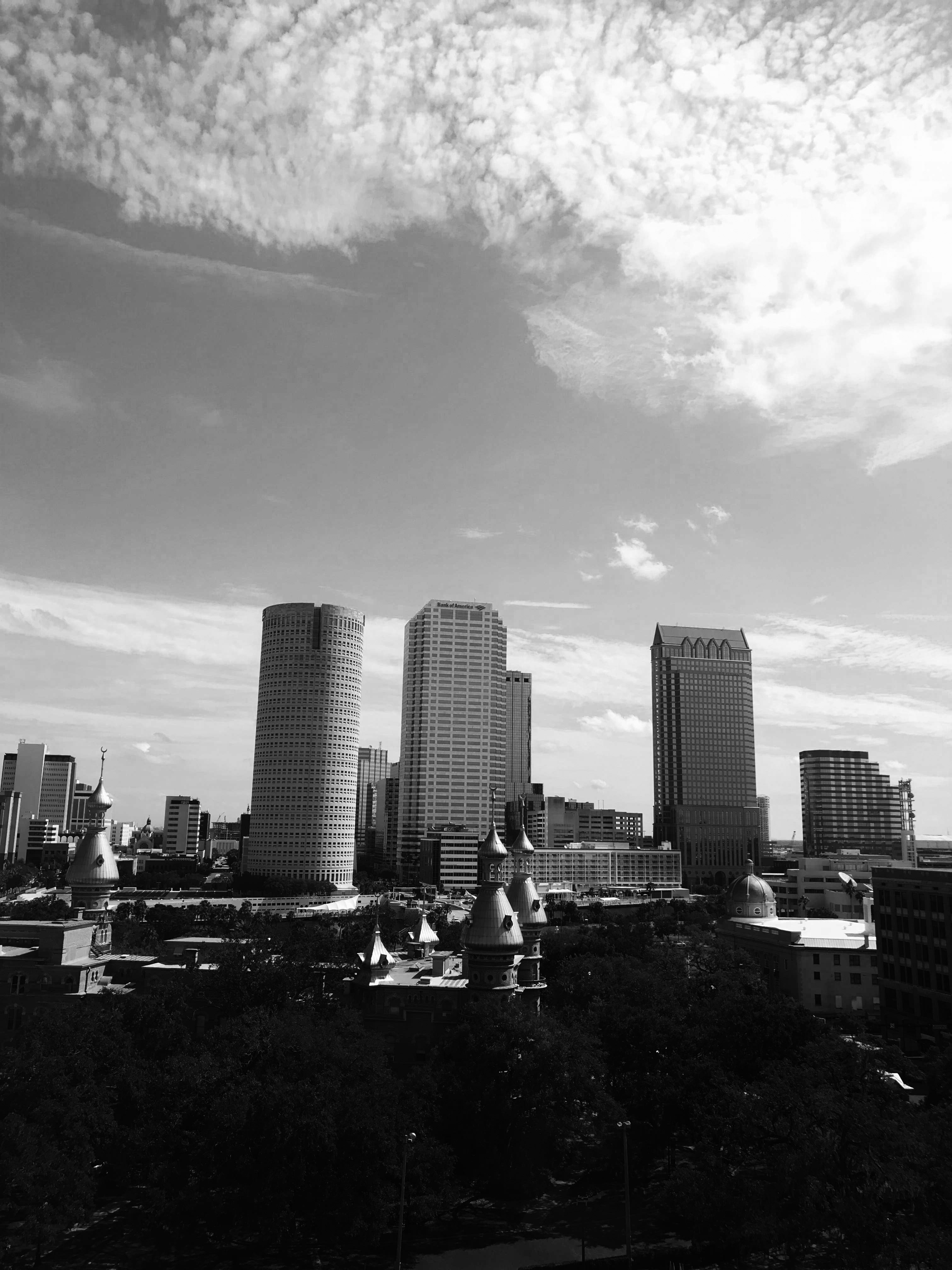 The University of Tampa and surrounding buildings