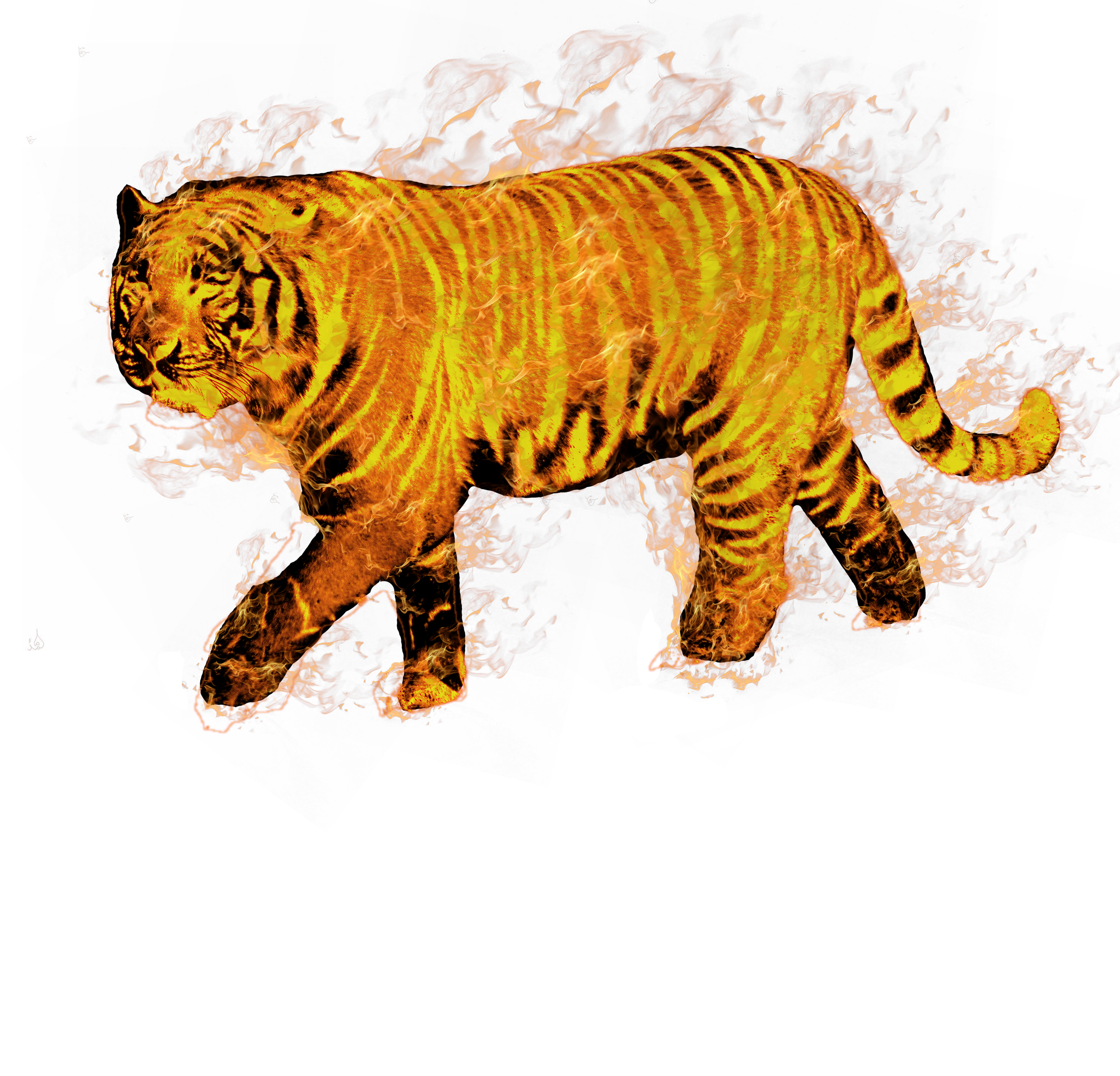 firetigerresume