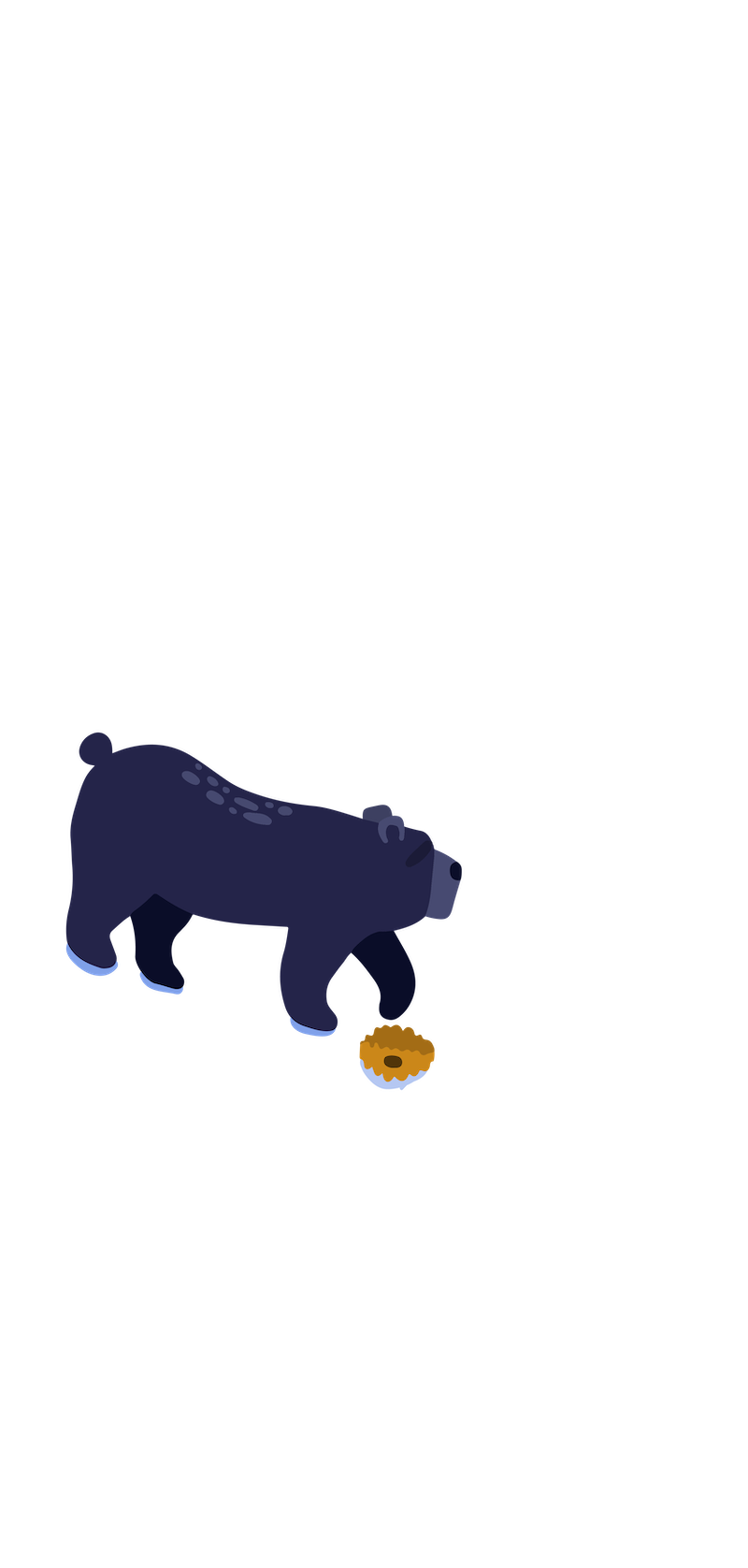 bear3