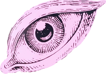 eye