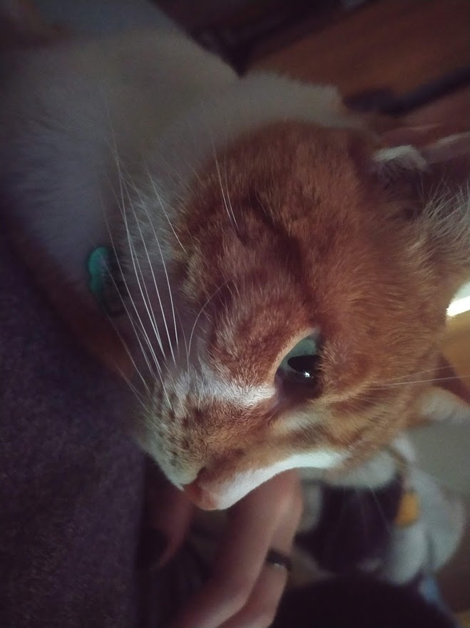 Peludos
