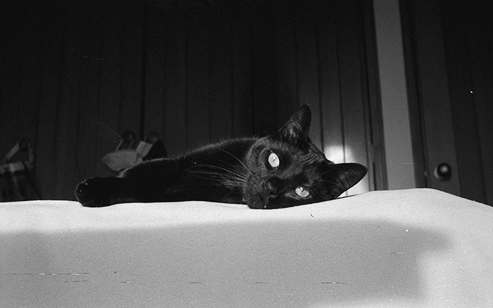 Peludos