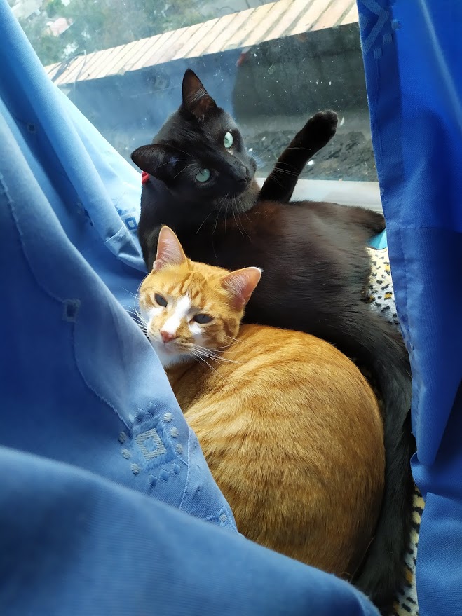Peludos