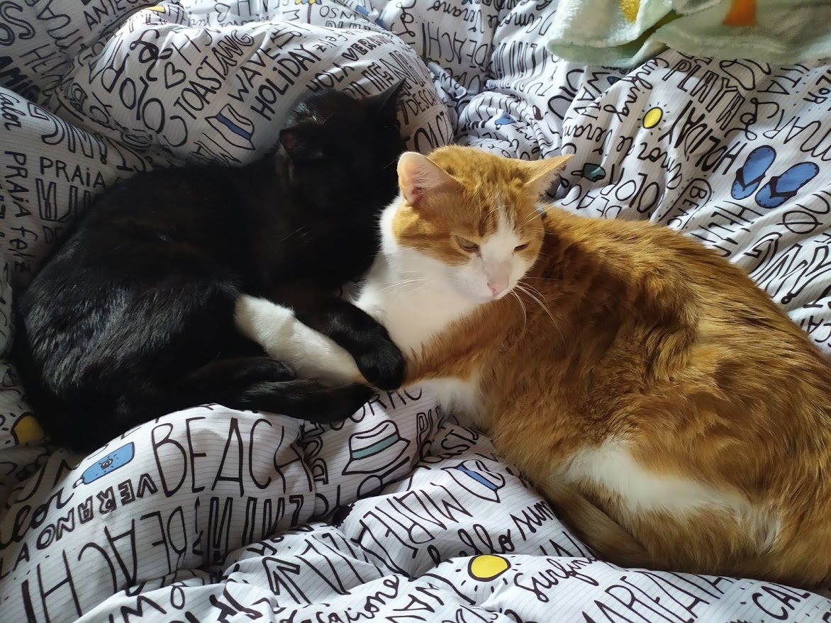 Peludos