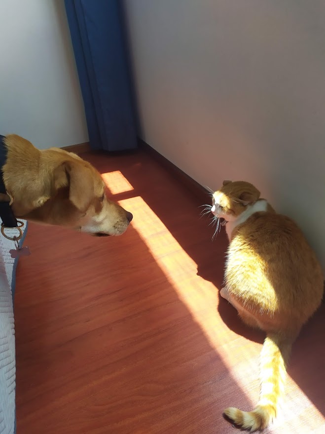 Peludos