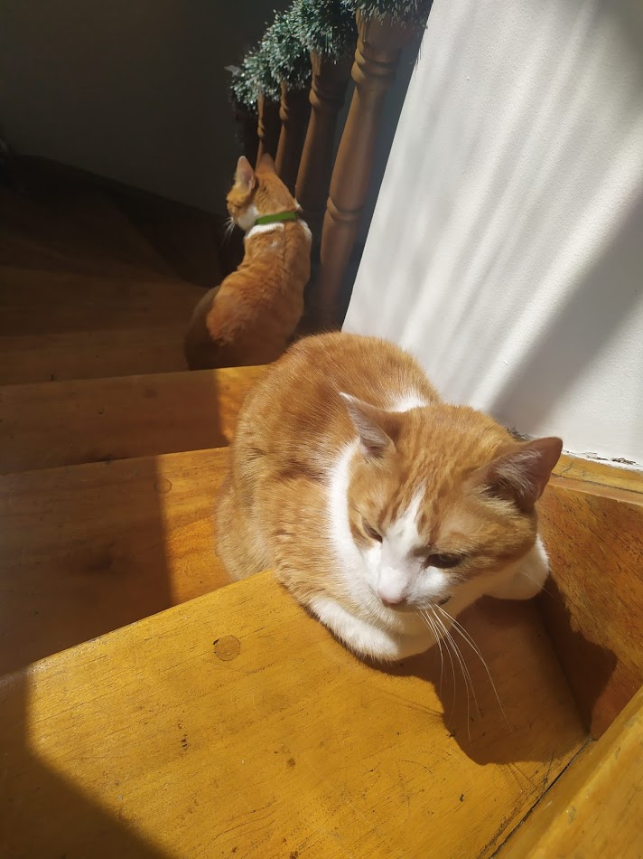 Peludos