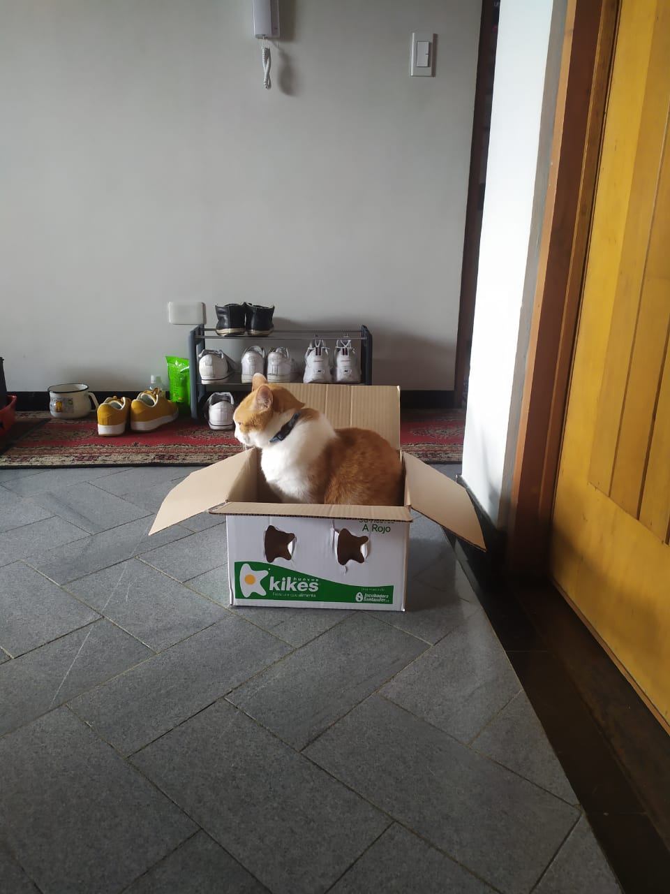 Peludos